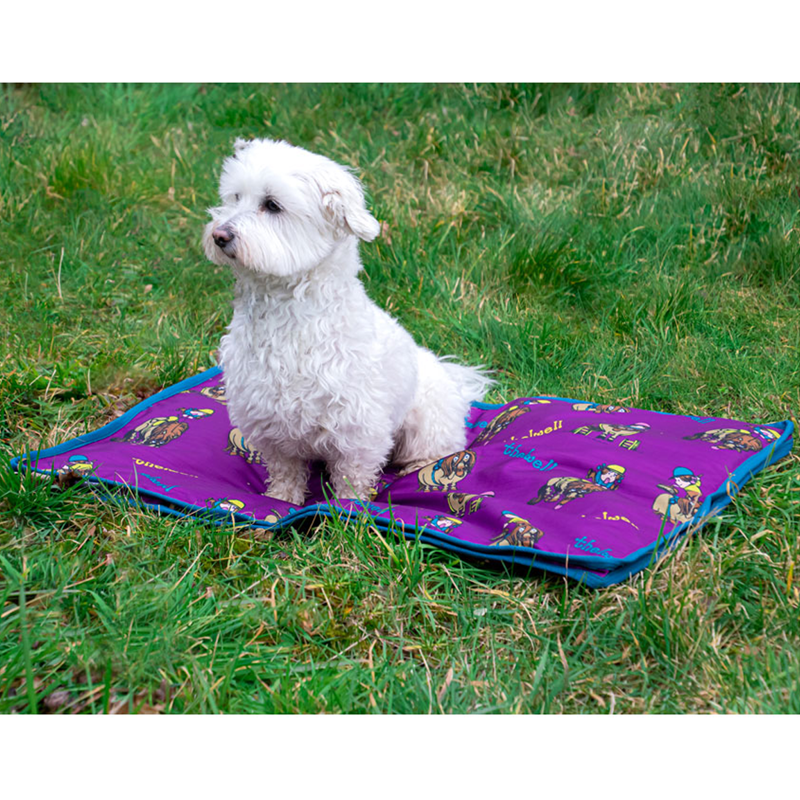 Benji and Flo Thelwell Collection Pony Friends Dog Bed - Imperial Purple/Pacific Blue-3
